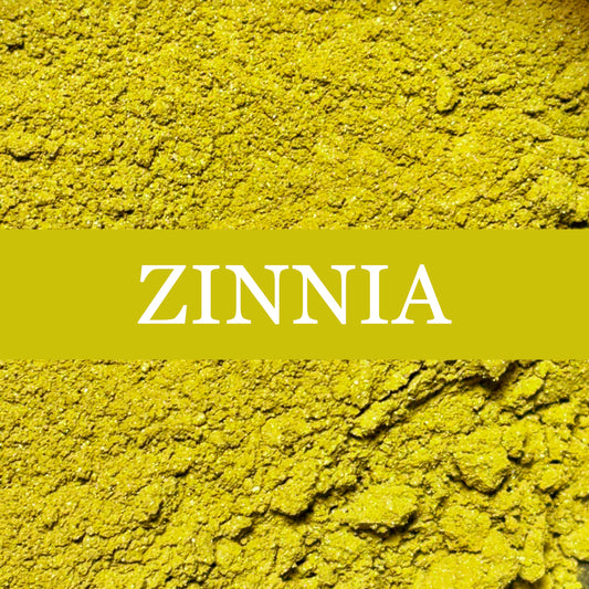 Eyeshadow ZINNIA matte - Eve Organics Beauty