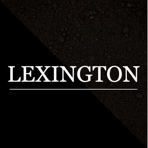 eyeshadow LEXINGTON (Ebony) - Eve Organics Beauty